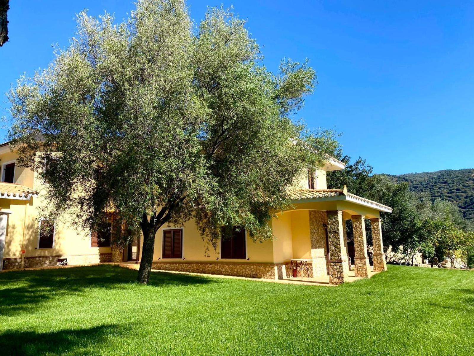 Villa With Pool Cardedu Dış mekan fotoğraf